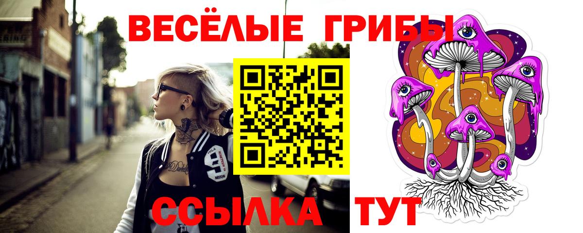 Галлюциногенные грибы GOLDEN TEACHER  Псилоцибиновые грибы мухоморы  Дюртюли  Вход с VPN 