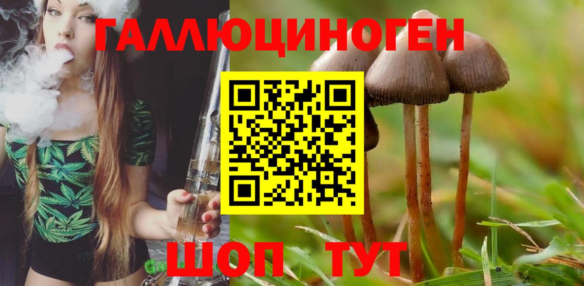 Псилоцибиновые грибы ЛСД Дюртюли